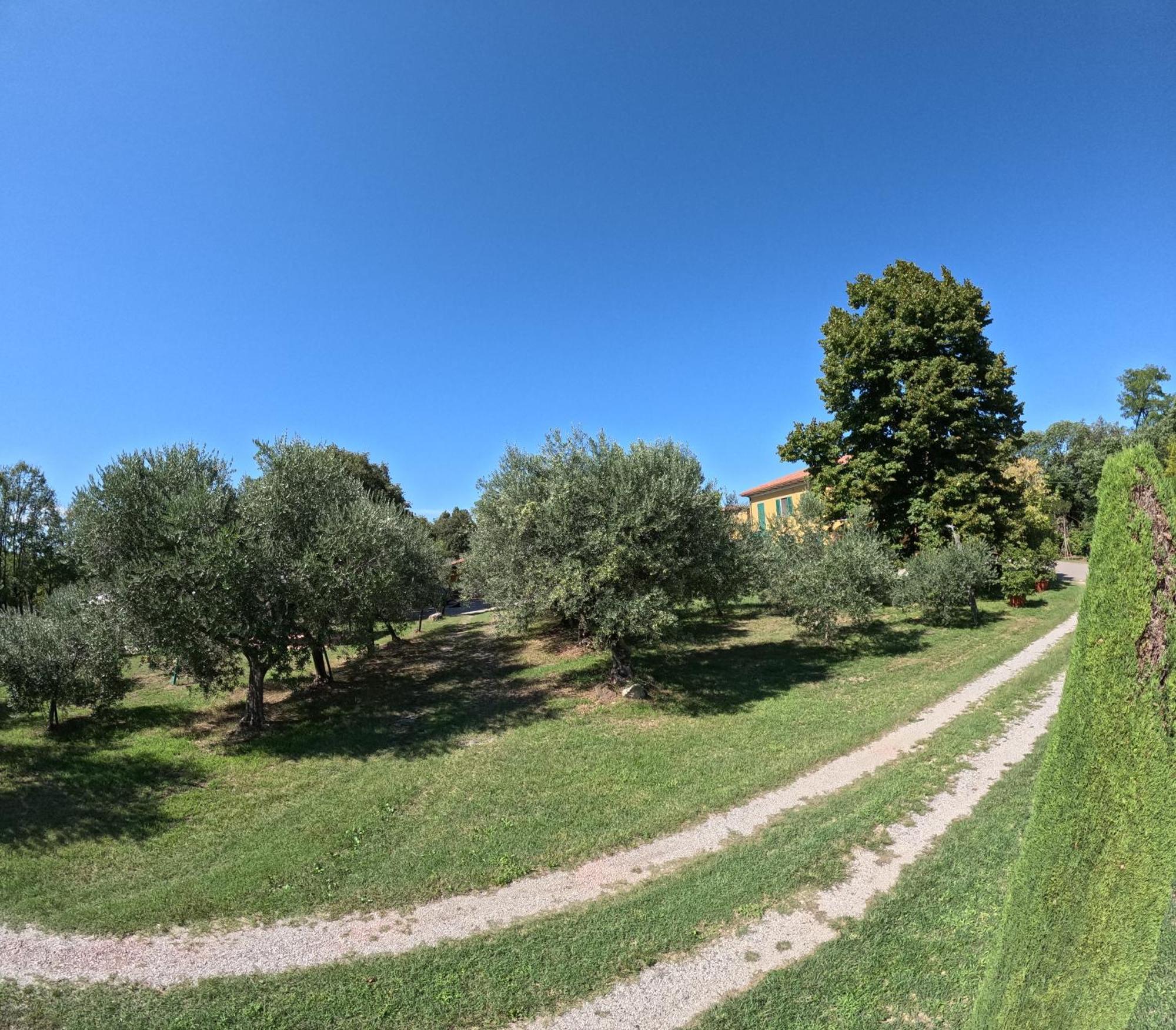 Agriturismo Gardenali Volta Mantovana Kültér fotó