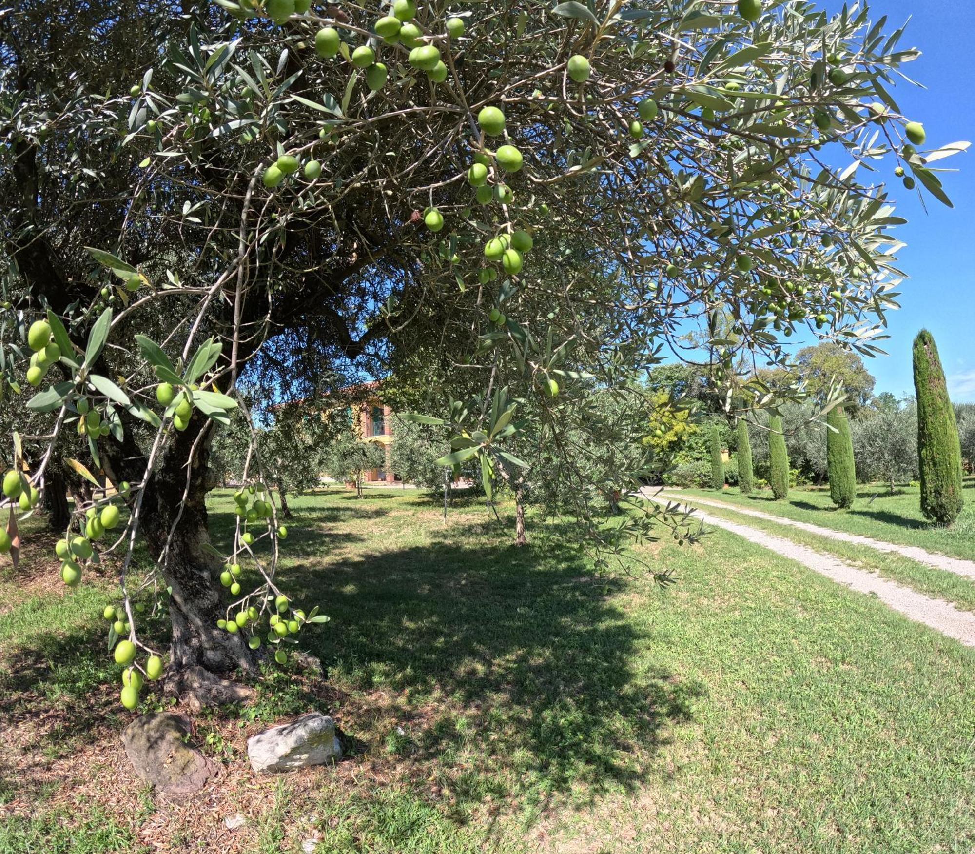 Agriturismo Gardenali Volta Mantovana Kültér fotó