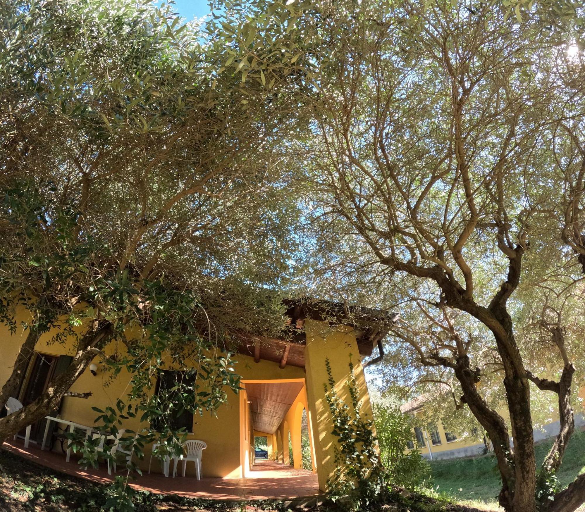 Agriturismo Gardenali Volta Mantovana Kültér fotó