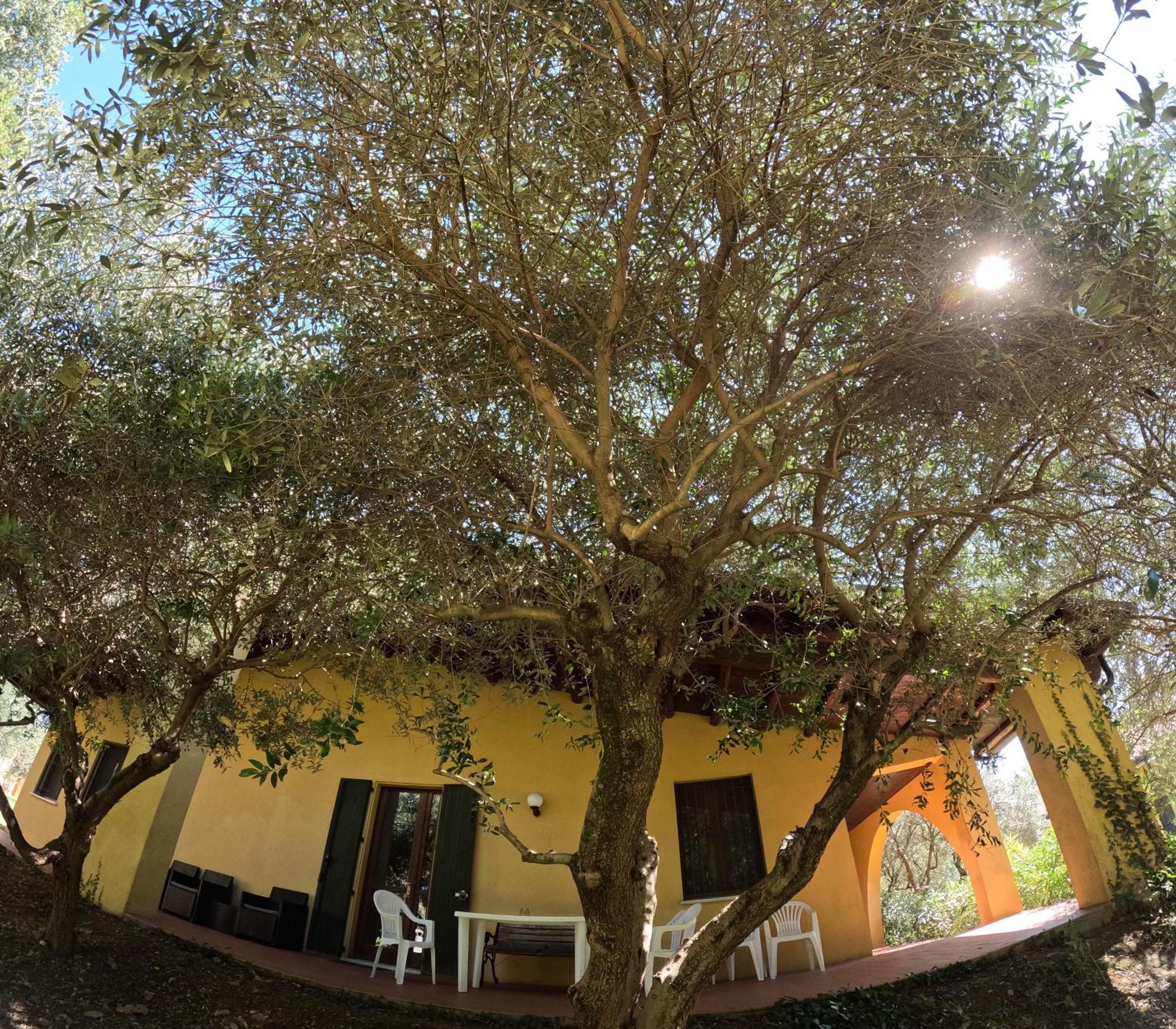 Agriturismo Gardenali Volta Mantovana Szoba fotó